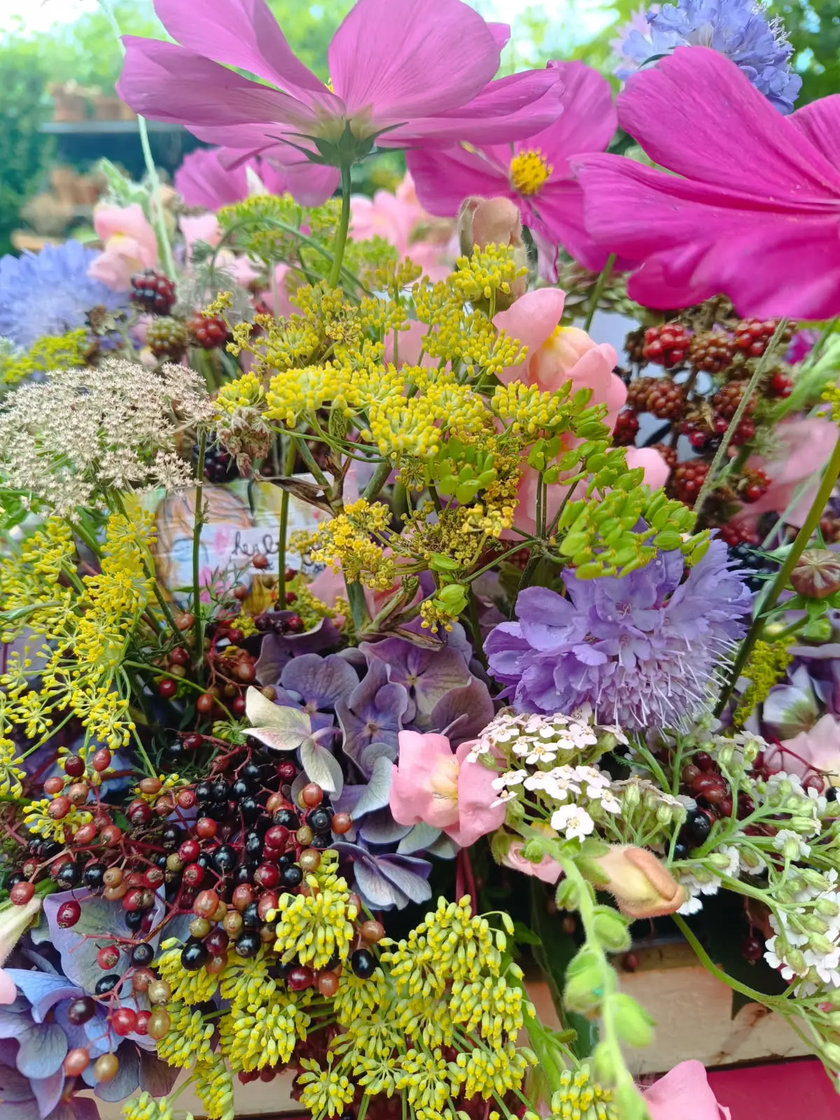 IMG_20250903_152725 (1)