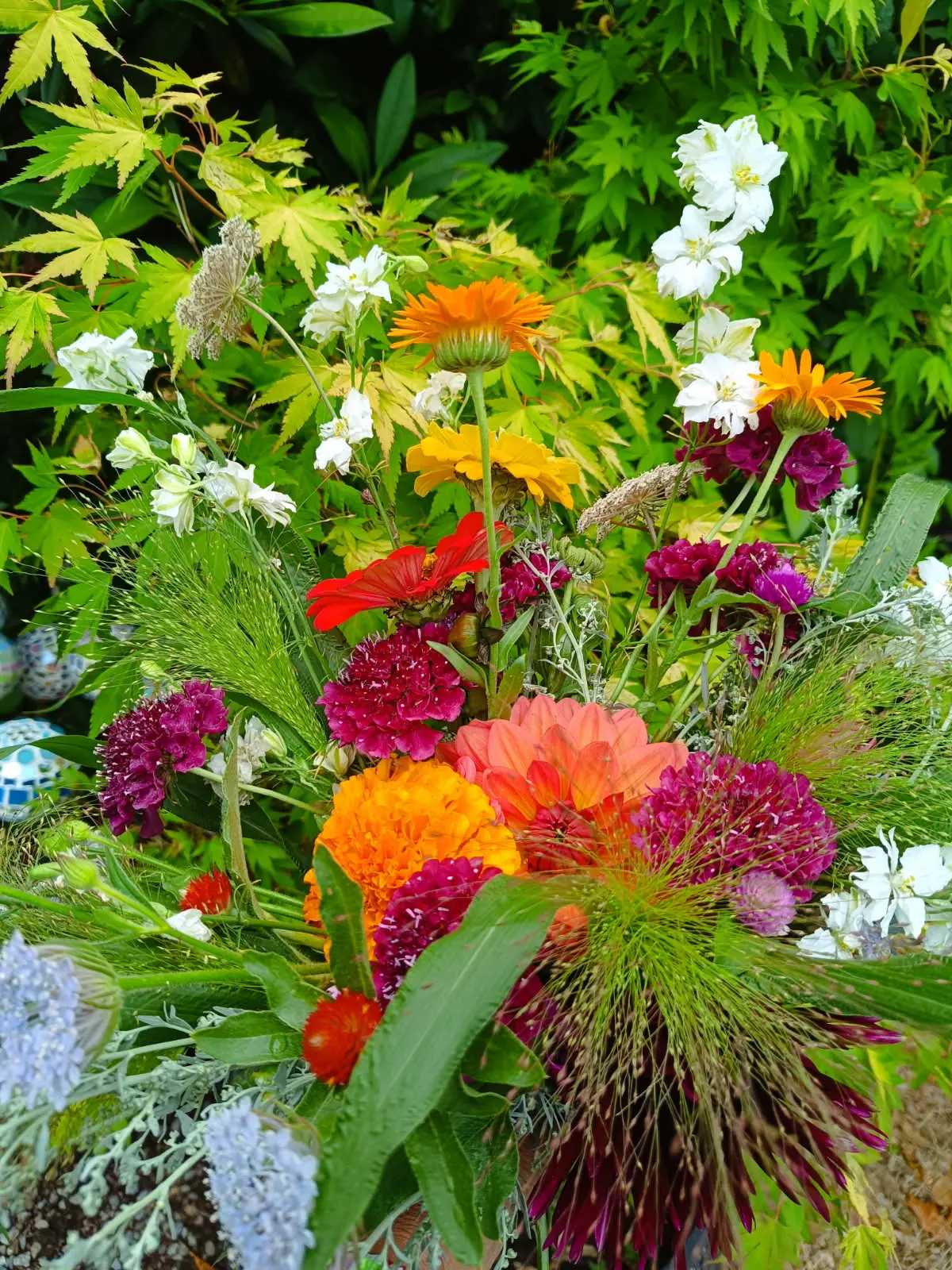 Photo de Françoise Martin