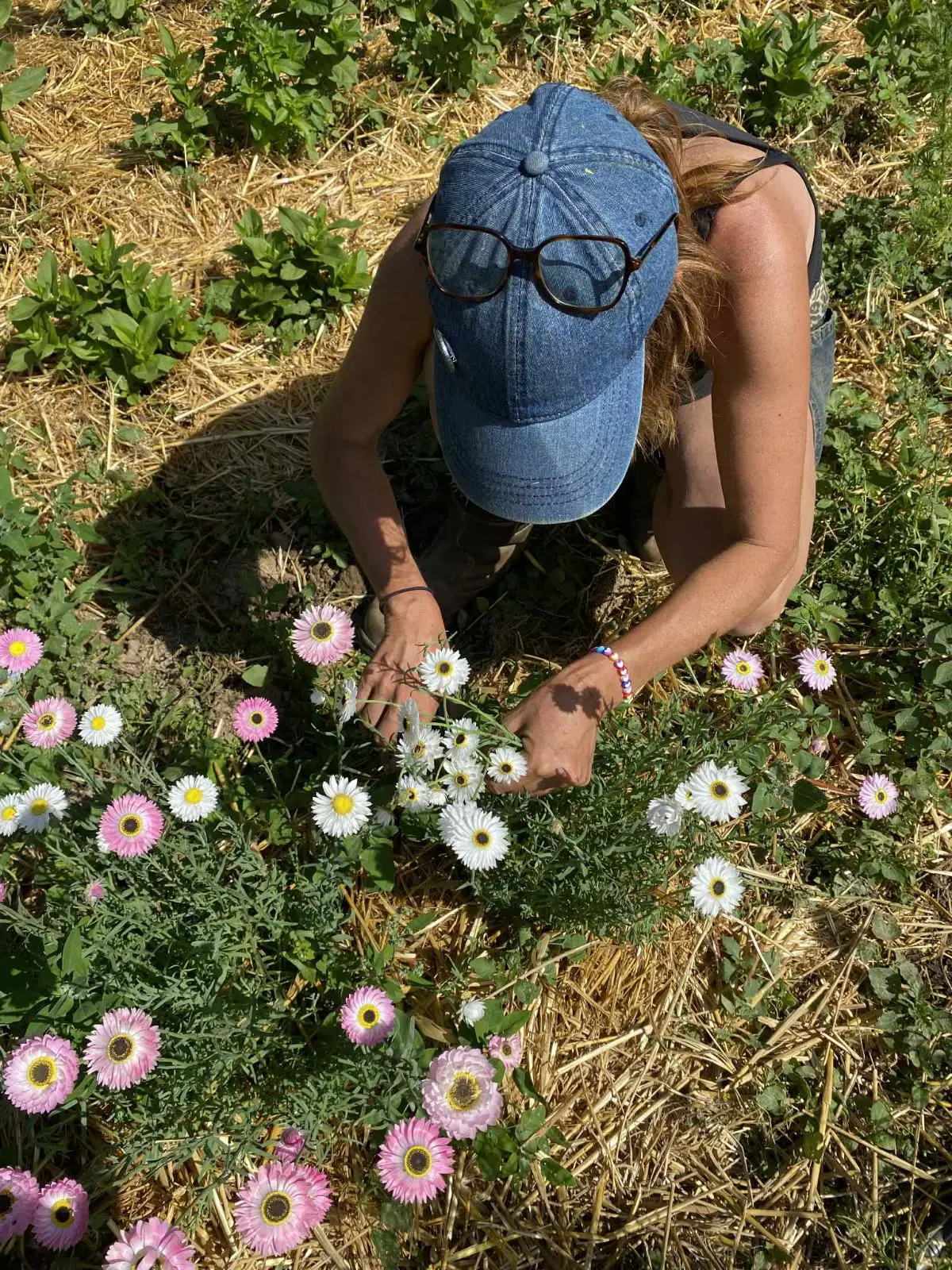 Photo de Françoise Martin