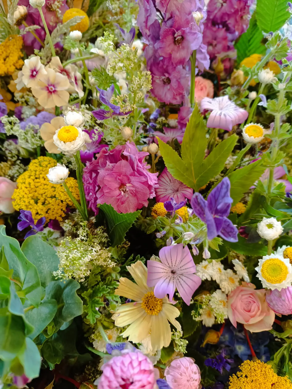 IMG_20250903_152725 (18)