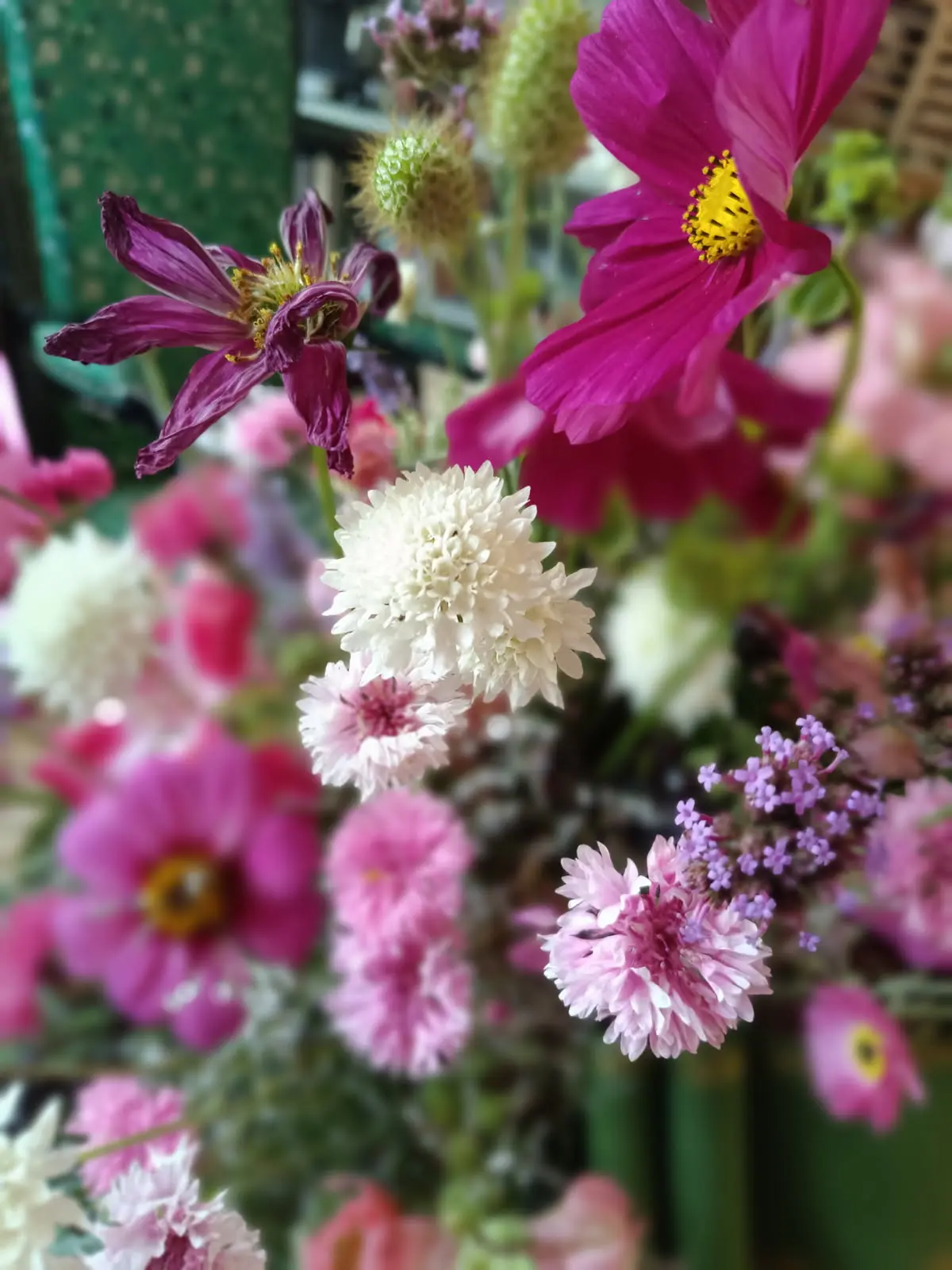 IMG_20250903_152725 (19)