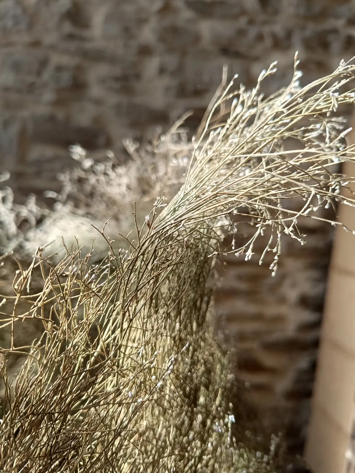 IMG_20250903_152725 (2)