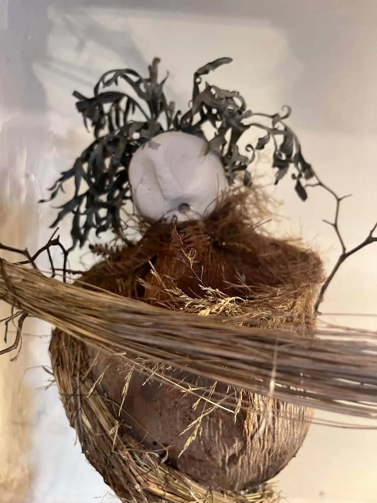 IMG_20250903_152725 (3)