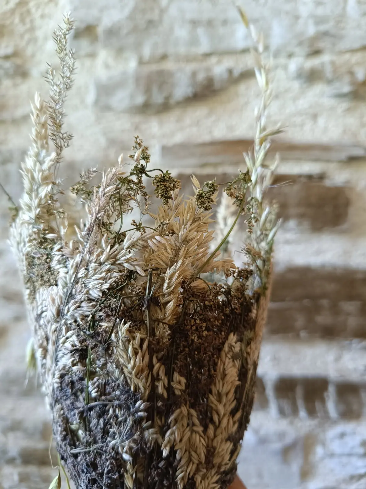 IMG_20250903_152725 (6)