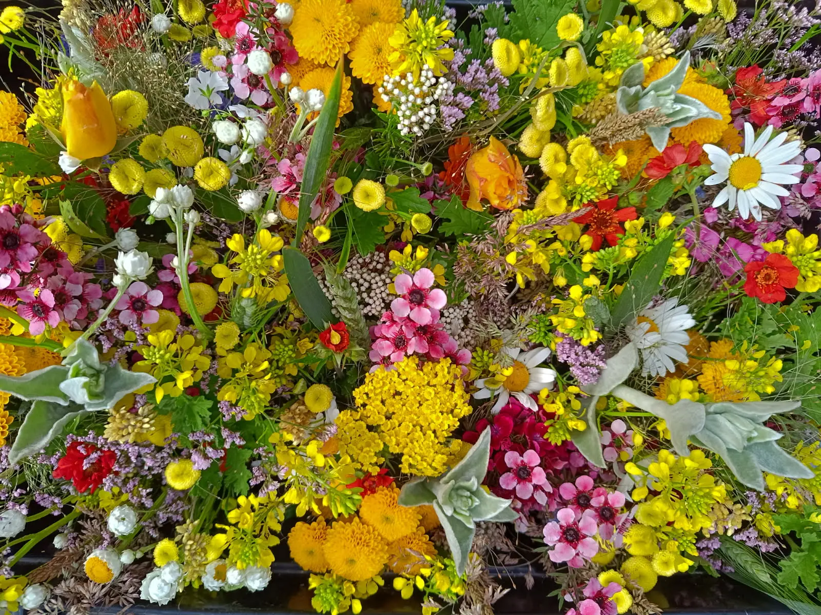 IMG_20250903_152726 (13)