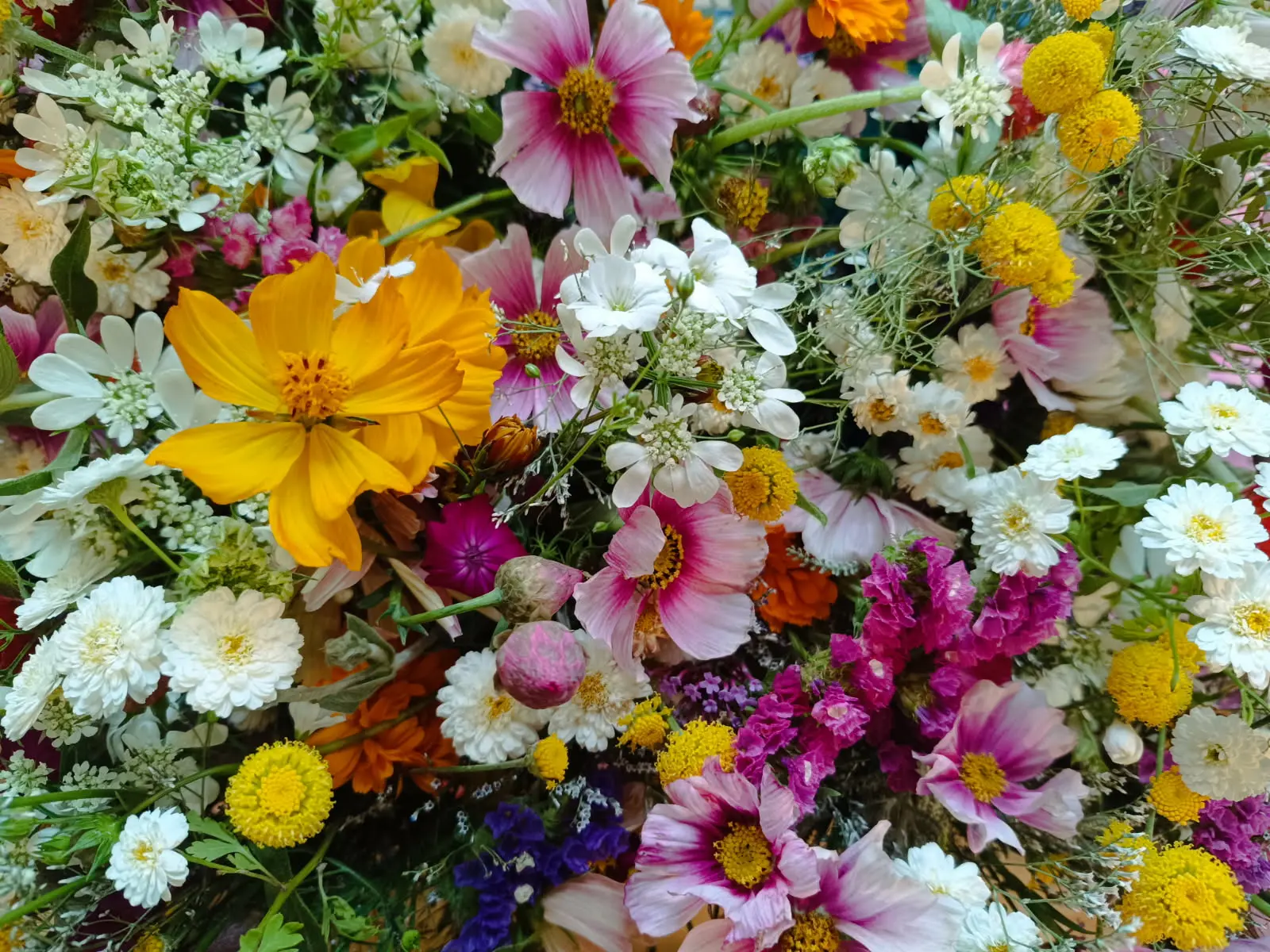 IMG_20250903_152726 (6)